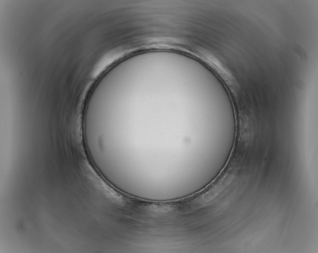 X0000111451384200907271222