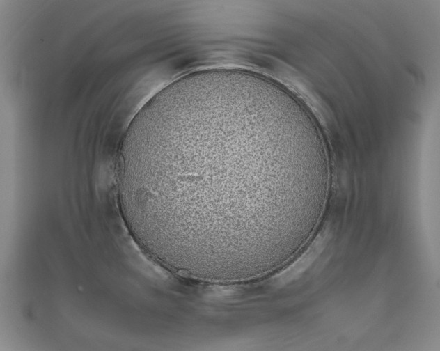 X0000111451385200907271222