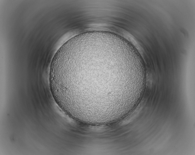 X0000111451386200907271222
