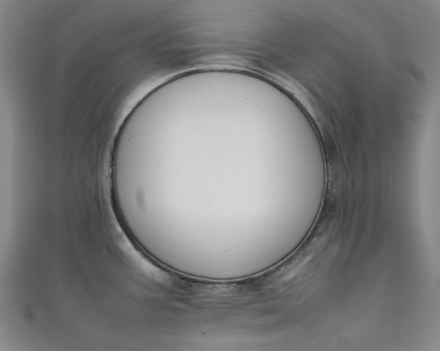 X0000111451387200907271222