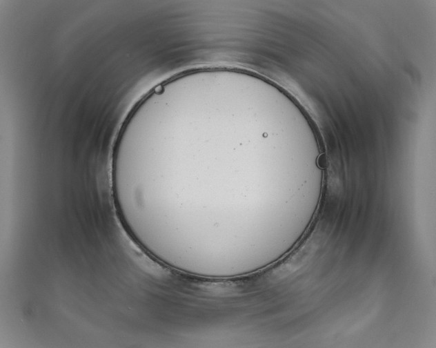 X0000111451388200907271222