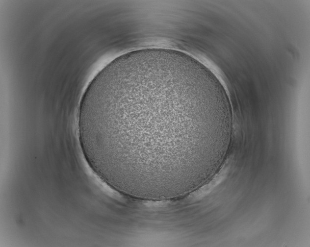 X0000111451389200907271222