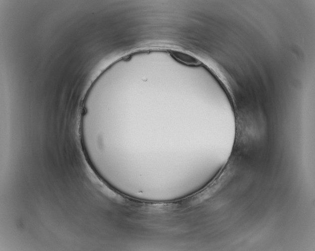 X0000111451390200907271222