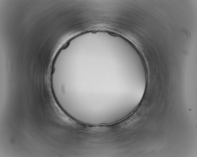X0000111451392200907271221