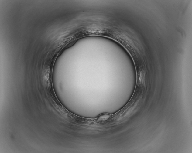 X0000111451396200907271221