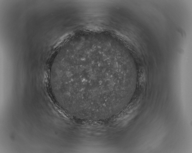 X0000111451397200907271221