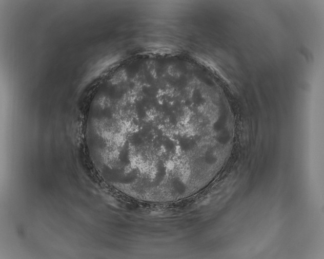 X0000111451399200907271221