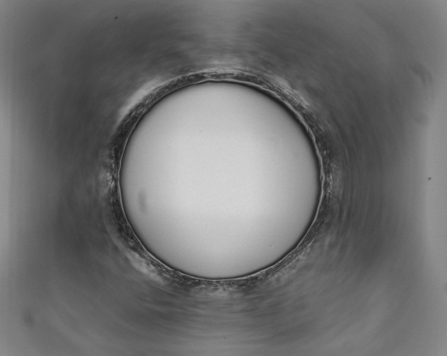 X0000111451400200907271221