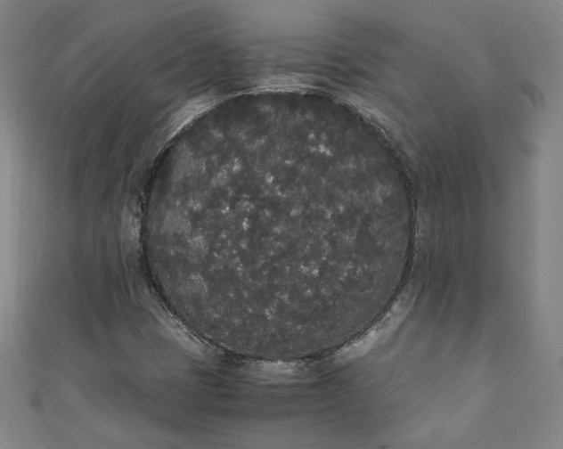 X0000111451401200907271221
