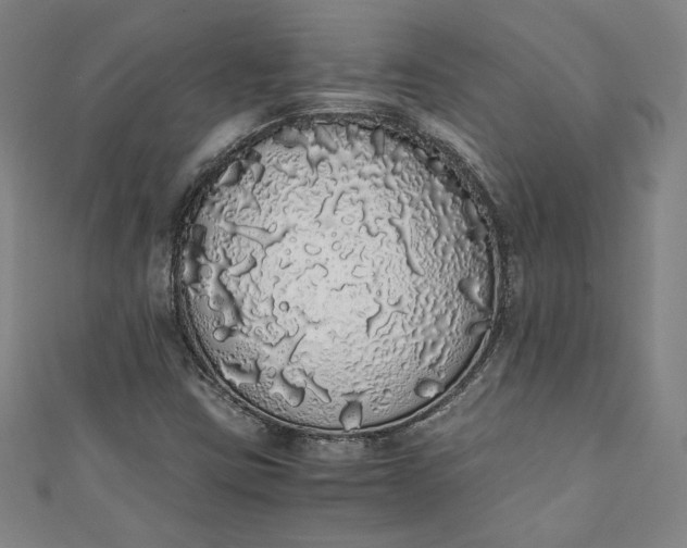 X0000111451403200907271221