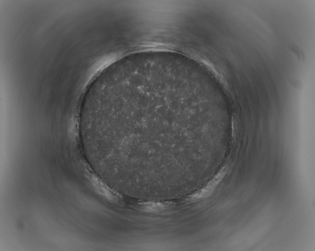 X0000111451405200907271221