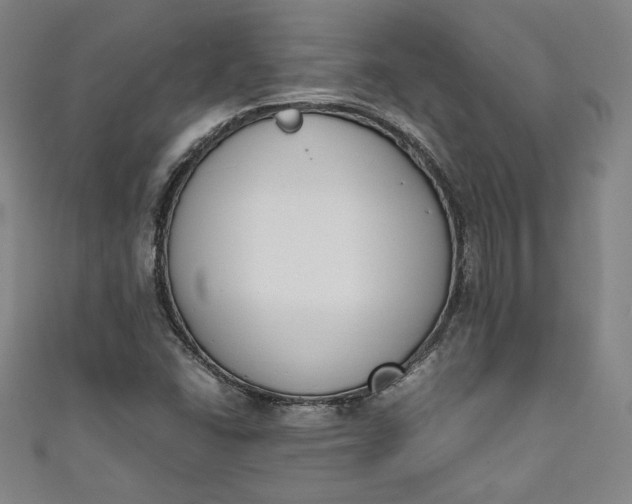 X0000111451406200907271221