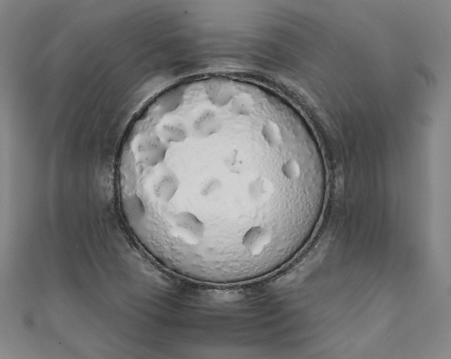 X0000111451409200907271221