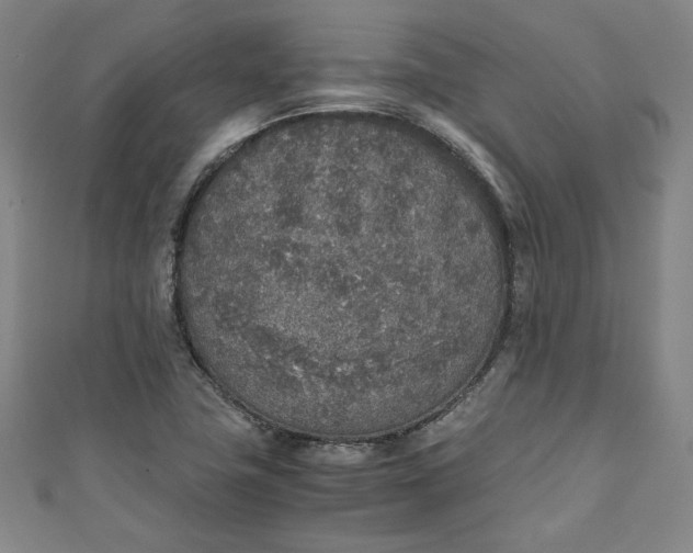 X0000111451411200907271221