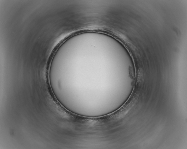 X0000111451412200907271221