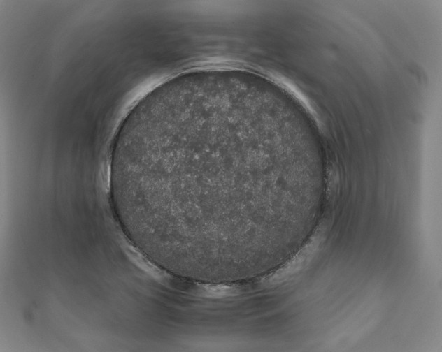 X0000111451413200907271221