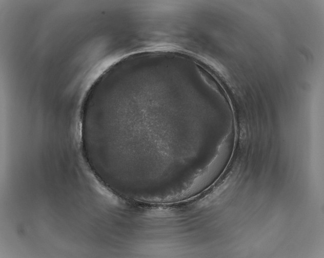 X0000111451414200907271221