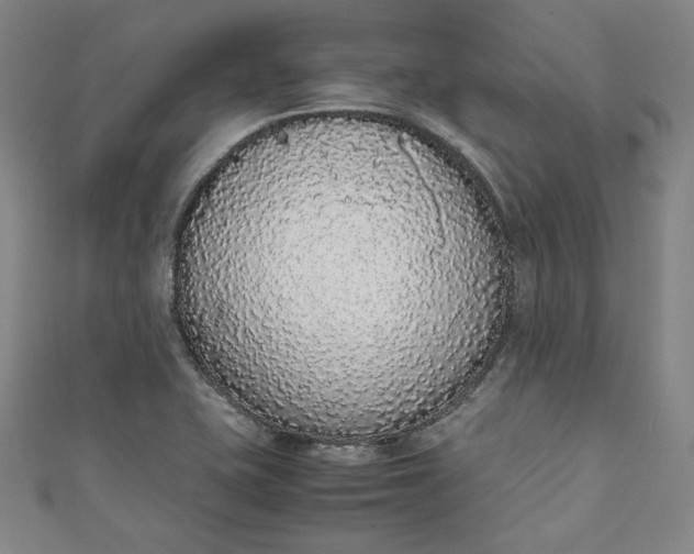 X0000111451415200907271221