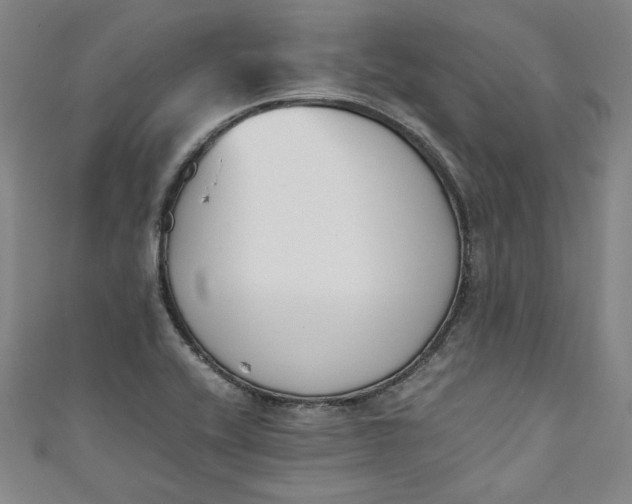X0000111451416200907271221