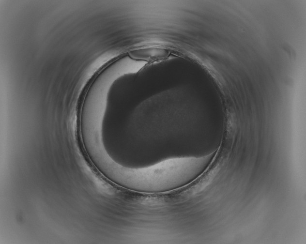X0000111451418200907271221