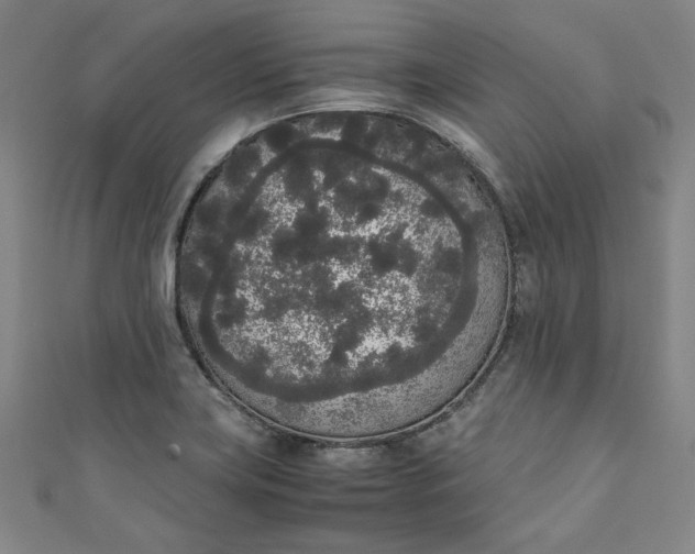 X0000111451419200907271221