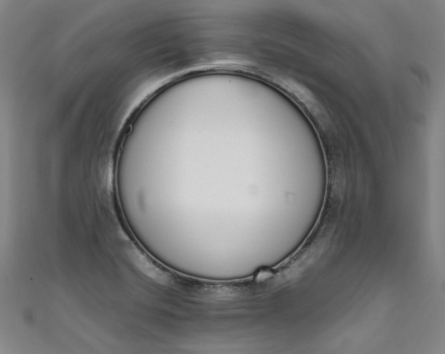 X0000111451420200907271221