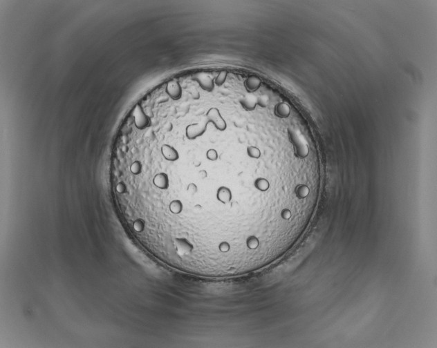 X0000111451421200907271221