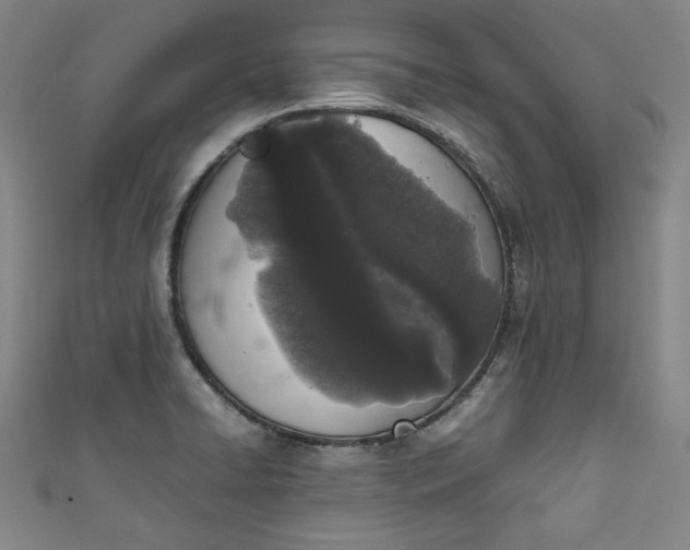 X0000111451422200907271221