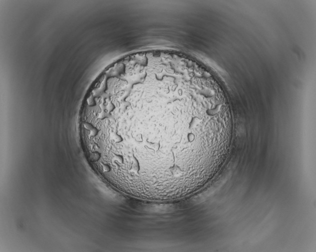 X0000111451423200907271221