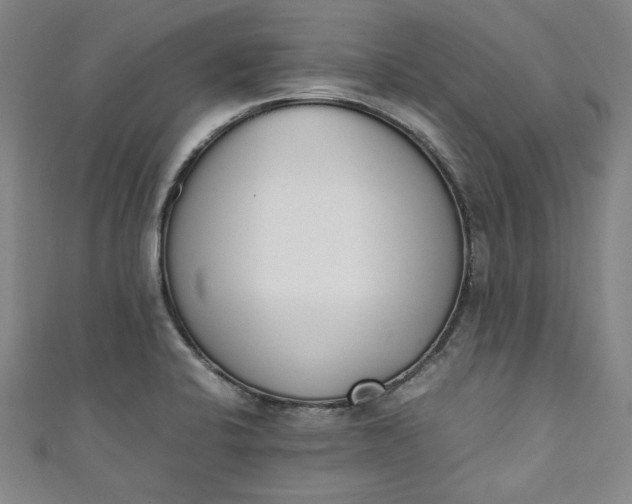 X0000111451424200907271221