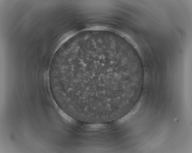 X0000111451425200907271221