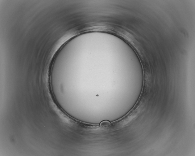 X0000111451426200907271221