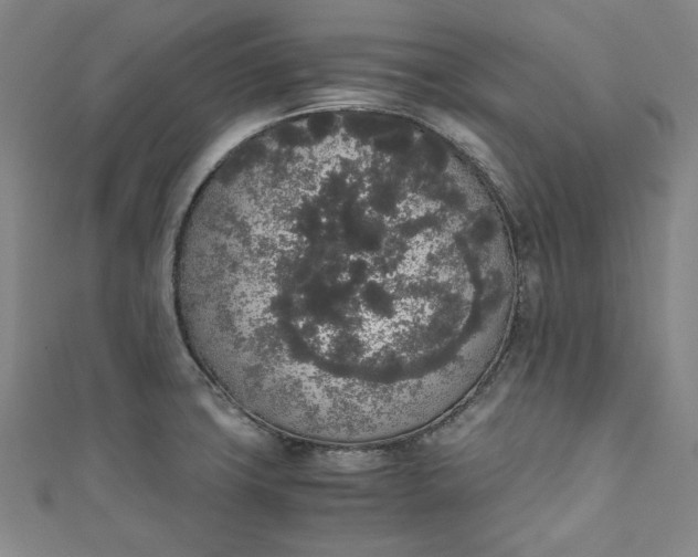 X0000111451427200907271221