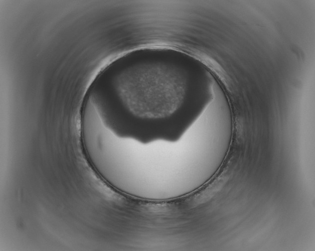 X0000111451428200907271221