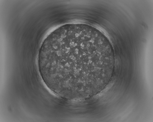 X0000111451429200907271221