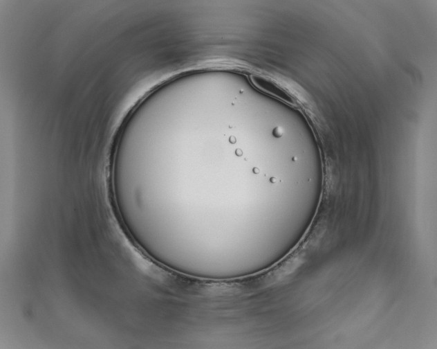 X0000111451430200907271221