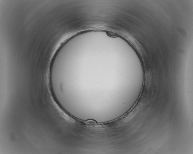 X0000111451432200907271221