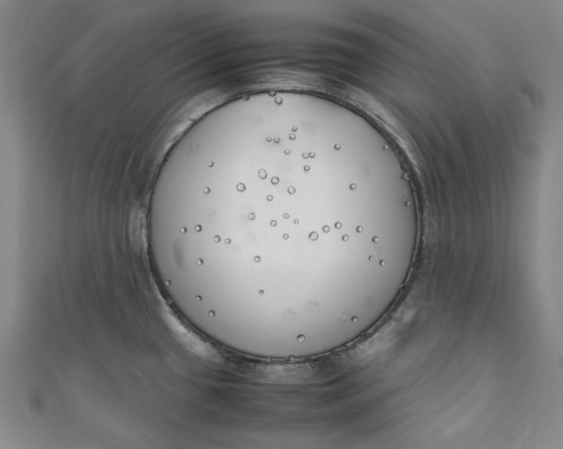 X0000111451433200907271221