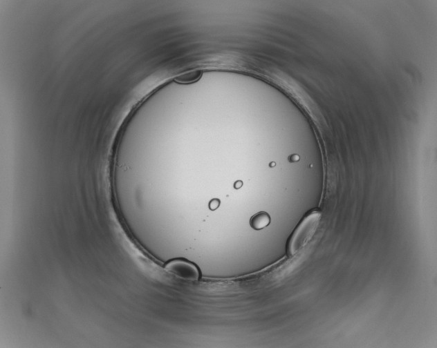 X0000111451434200907271221