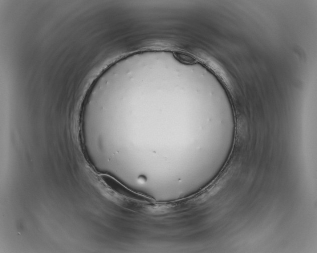 X0000111451435200907271221