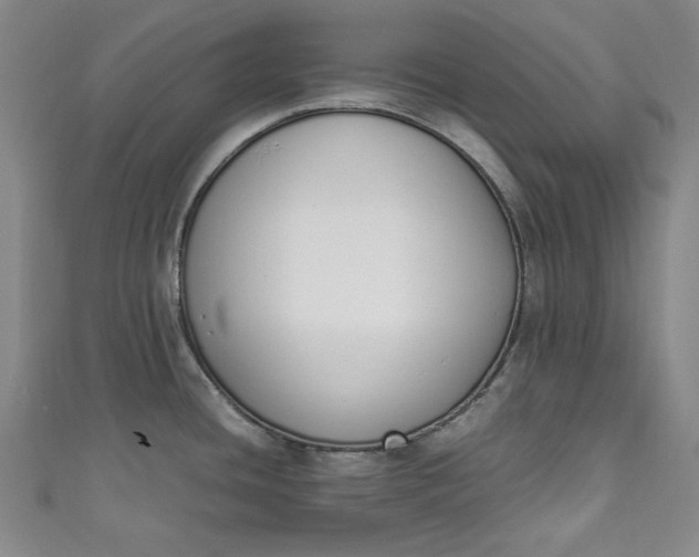X0000111451436200907271221