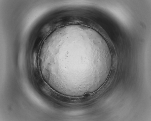 X0000111451439200907271221
