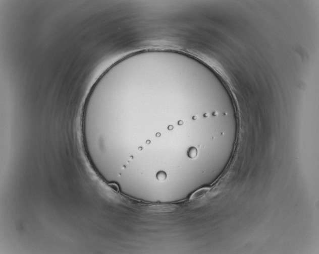 X0000111451440200907271221