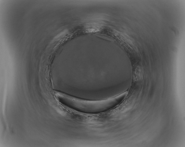 X0000111451441200907271221