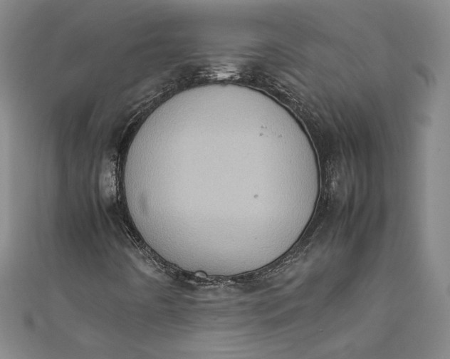 X0000111451442200907271221