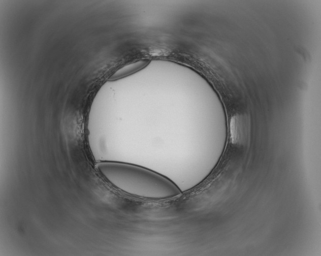 X0000111451443200907271221