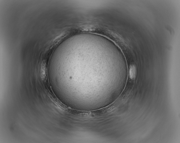 X0000111451444200907271221