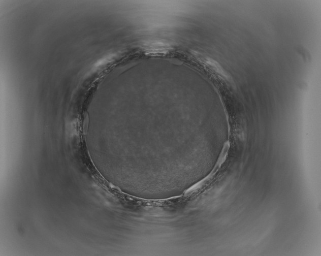 X0000111451445200907271221