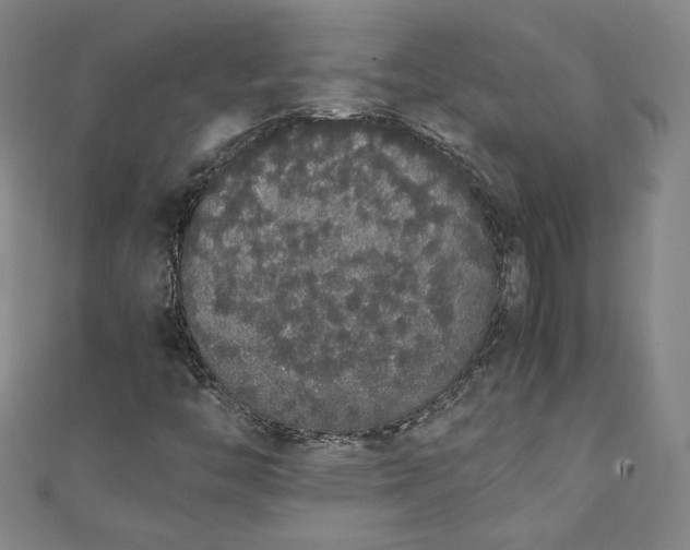 X0000111451446200907271221