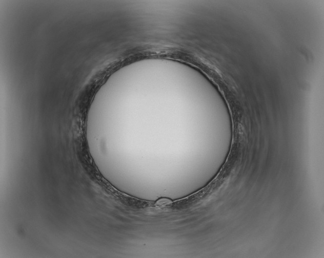 X0000111451447200907271221